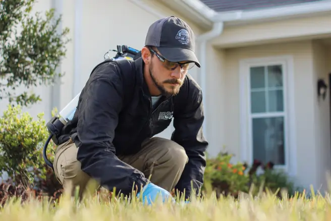 pest control services